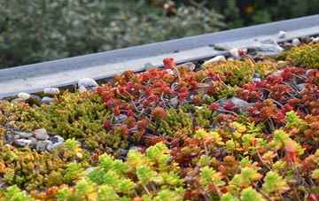 the cost of Hocombe green roof installation