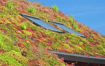 Hocombe living roof systems